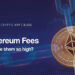 Ethereum Fees - Why are they so high (blog post image)