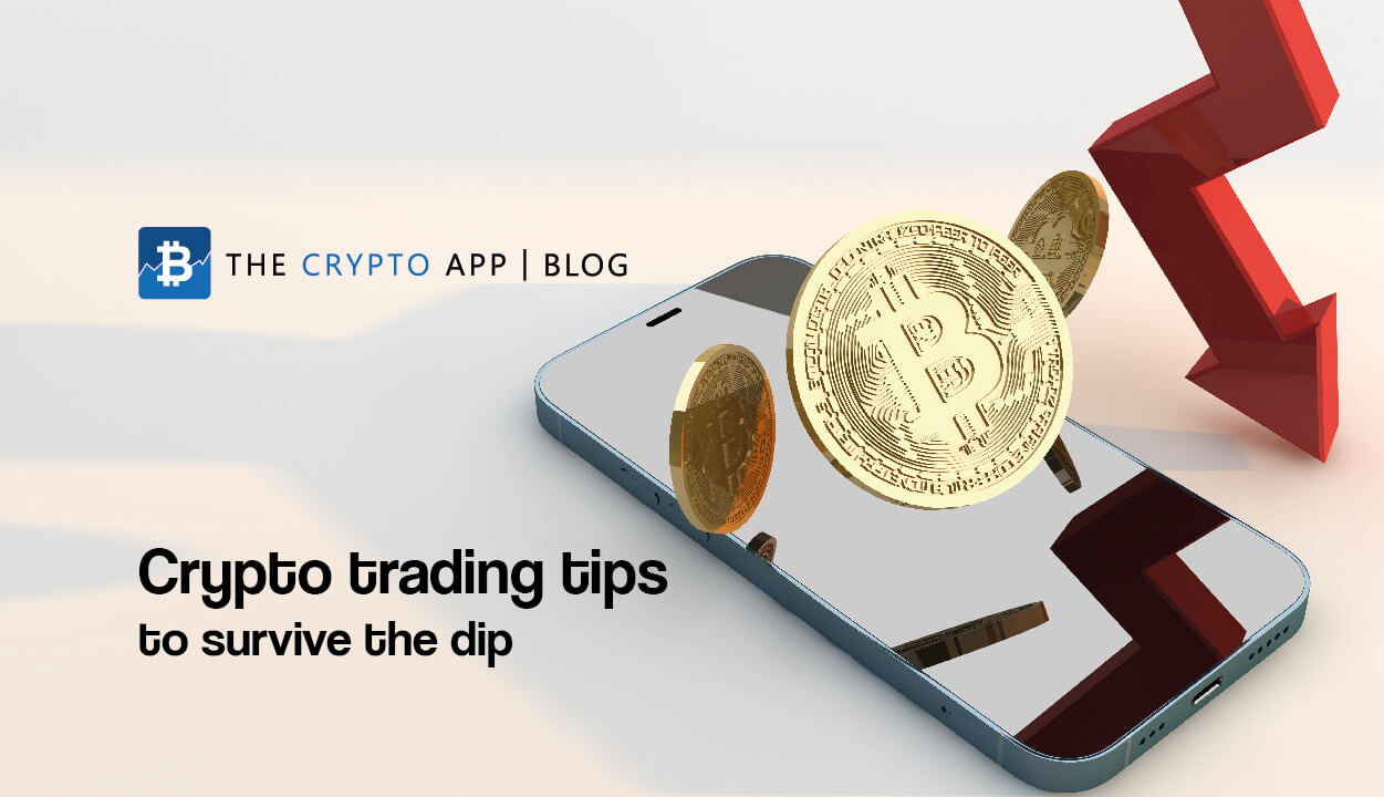 Crypto trading tips to survive the dip