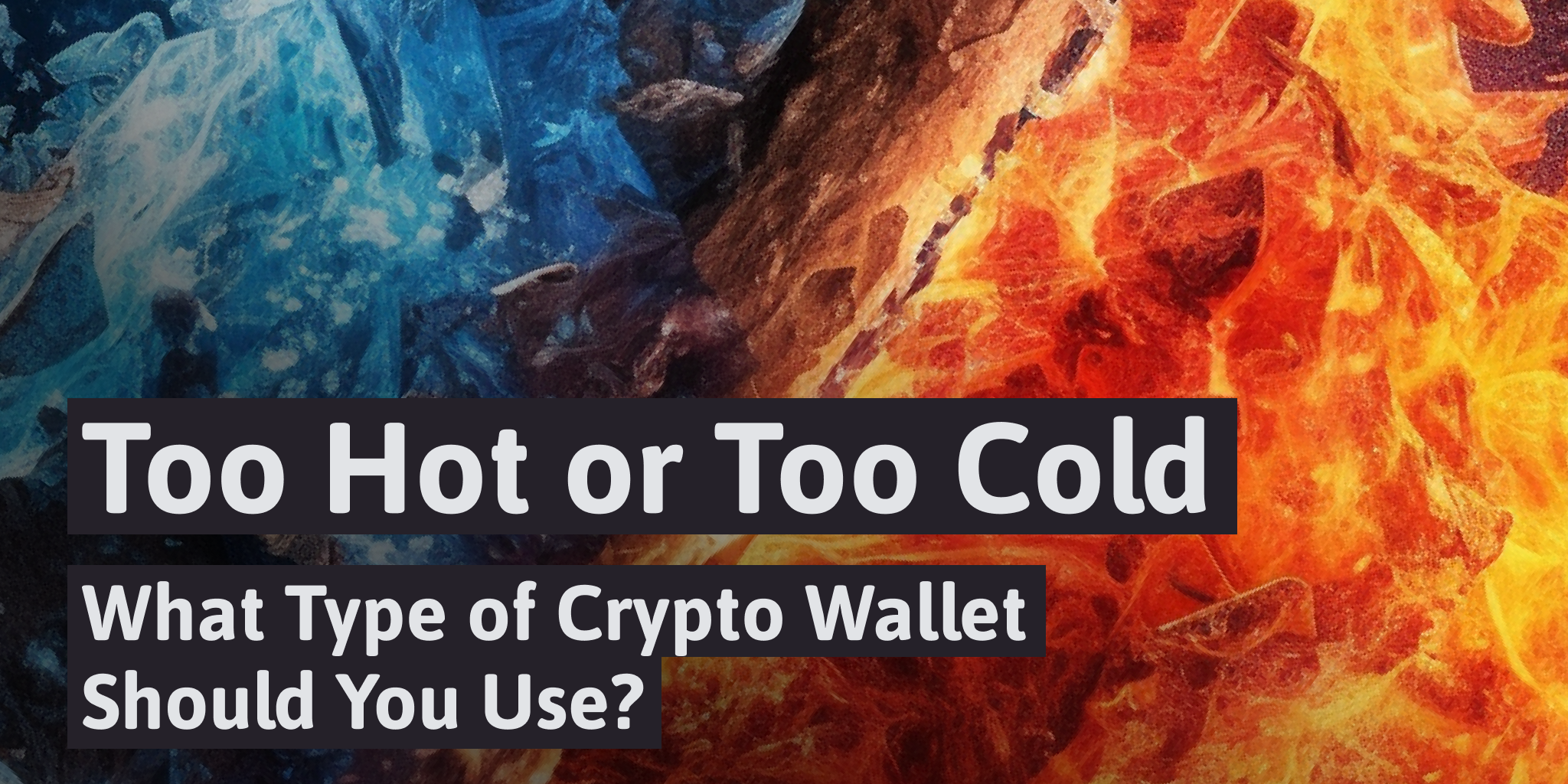 Too Hot or Too Cold: What Type of Crypto Wallet Should You Use?